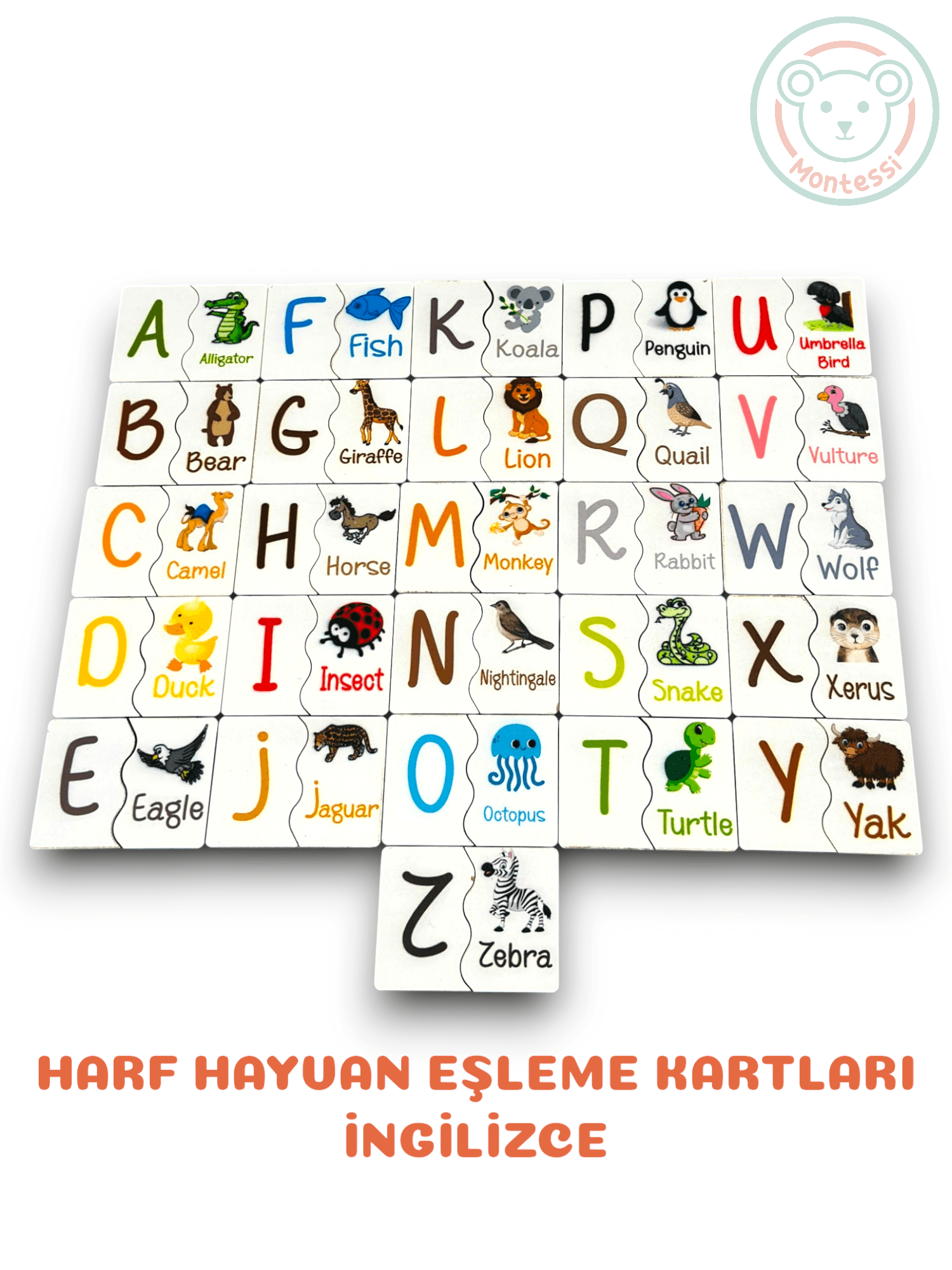 İngilizce Temel Eğitim Seti (6 Oyuncak)