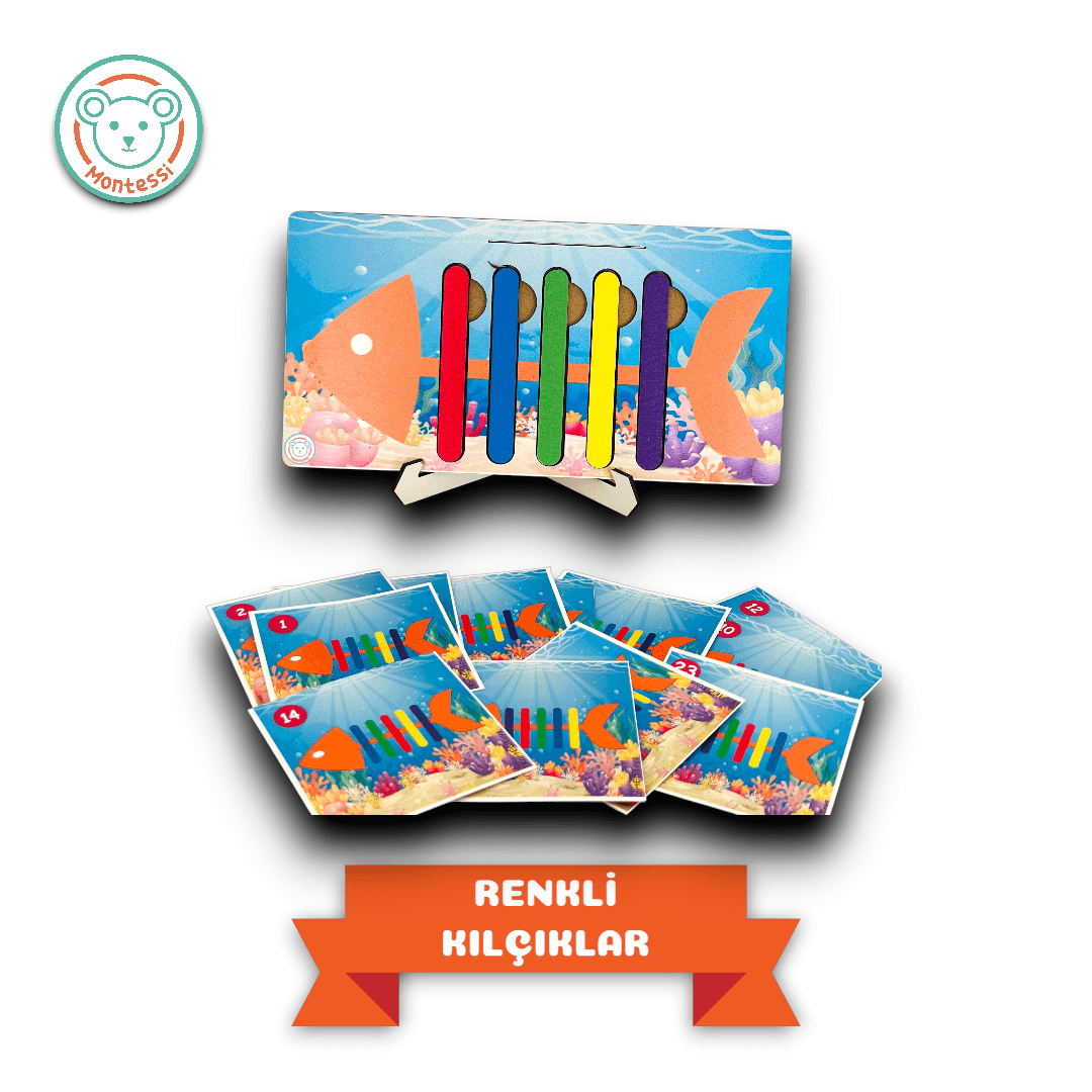 Kodlama Becerilerini Geliştiren Set (4 Oyuncak)