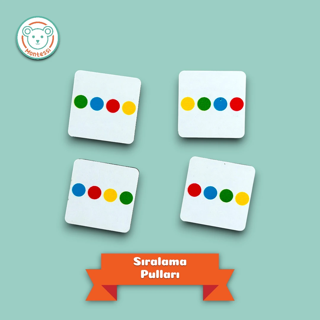 Katmanlı Puzzle, Koala İle Yön Bul, İkisi Bir Arada 