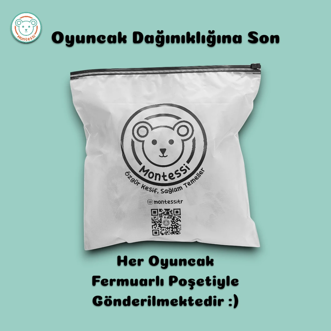 Deniz Hayvanları Çizgi Çalışma Seti