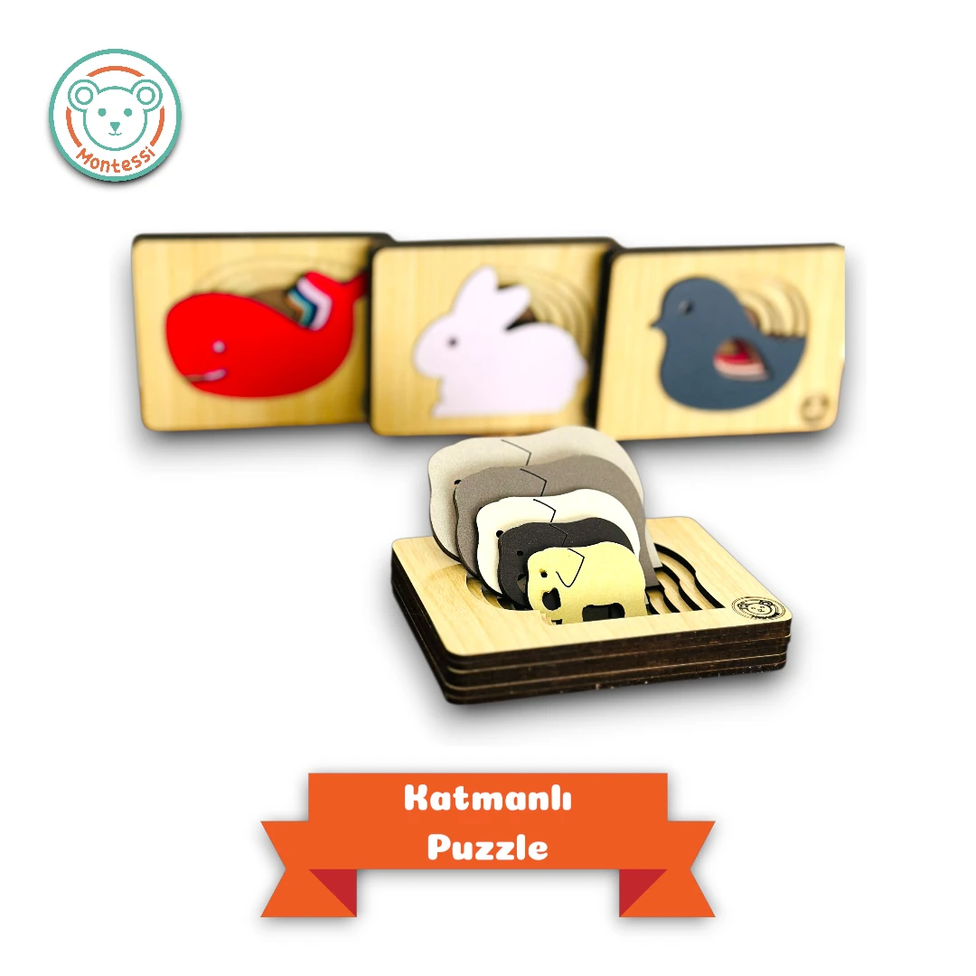 Katmanlı Puzzle, Koala İle Yön Bul, İkisi Bir Arada 