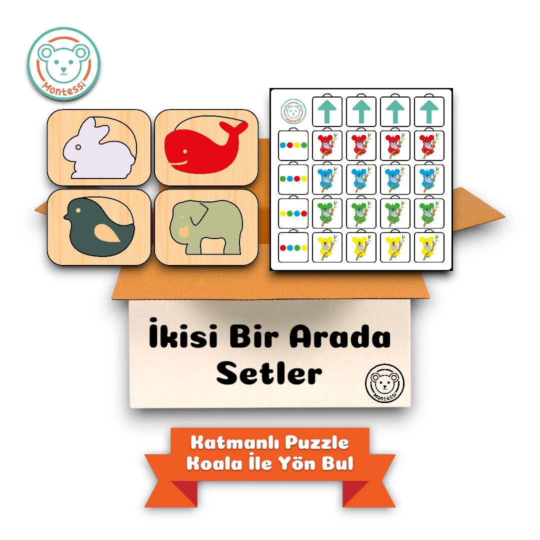 Katmanlı Puzzle, Koala İle Yön Bul, İkisi Bir Arada 