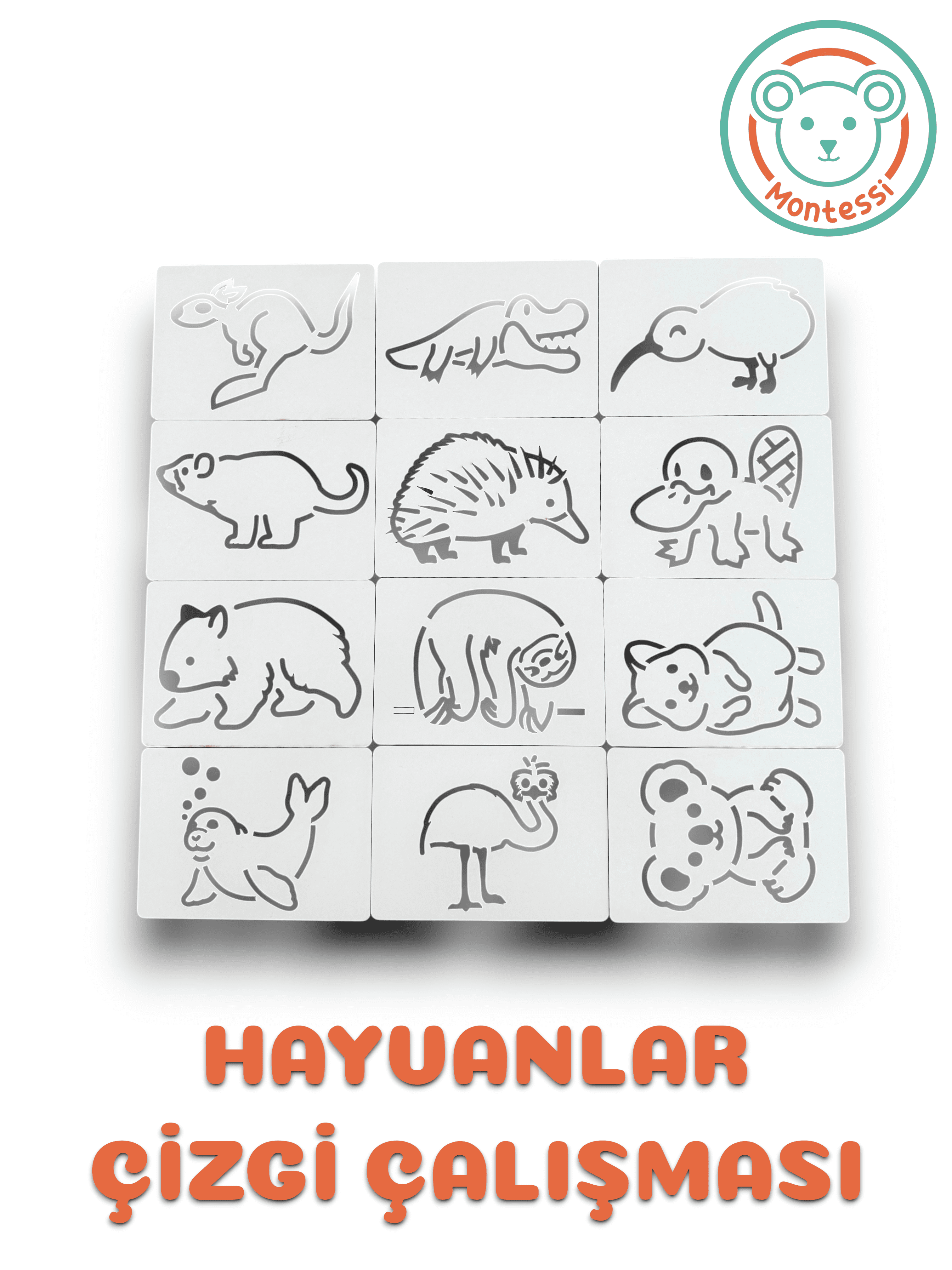 Montessi Hayvanlar Çizgi Çalışma Seti