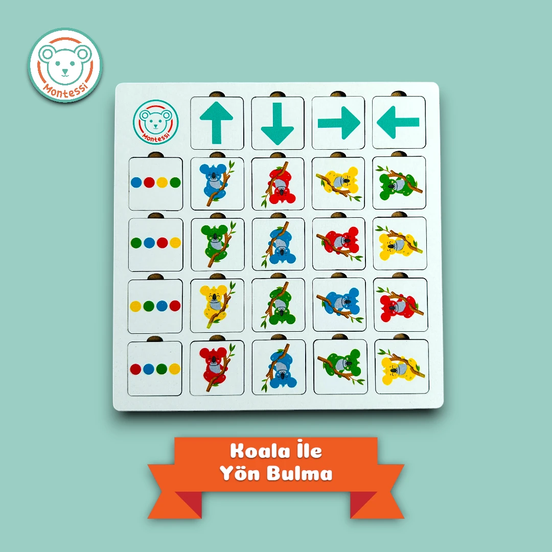 Katmanlı Puzzle, Koala İle Yön Bul, İkisi Bir Arada 