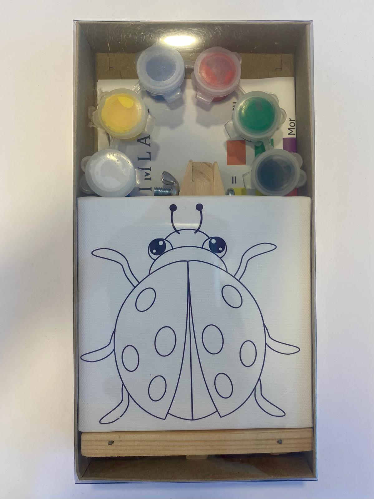 Uğurböceği Baskılı Mini Kanvas Set