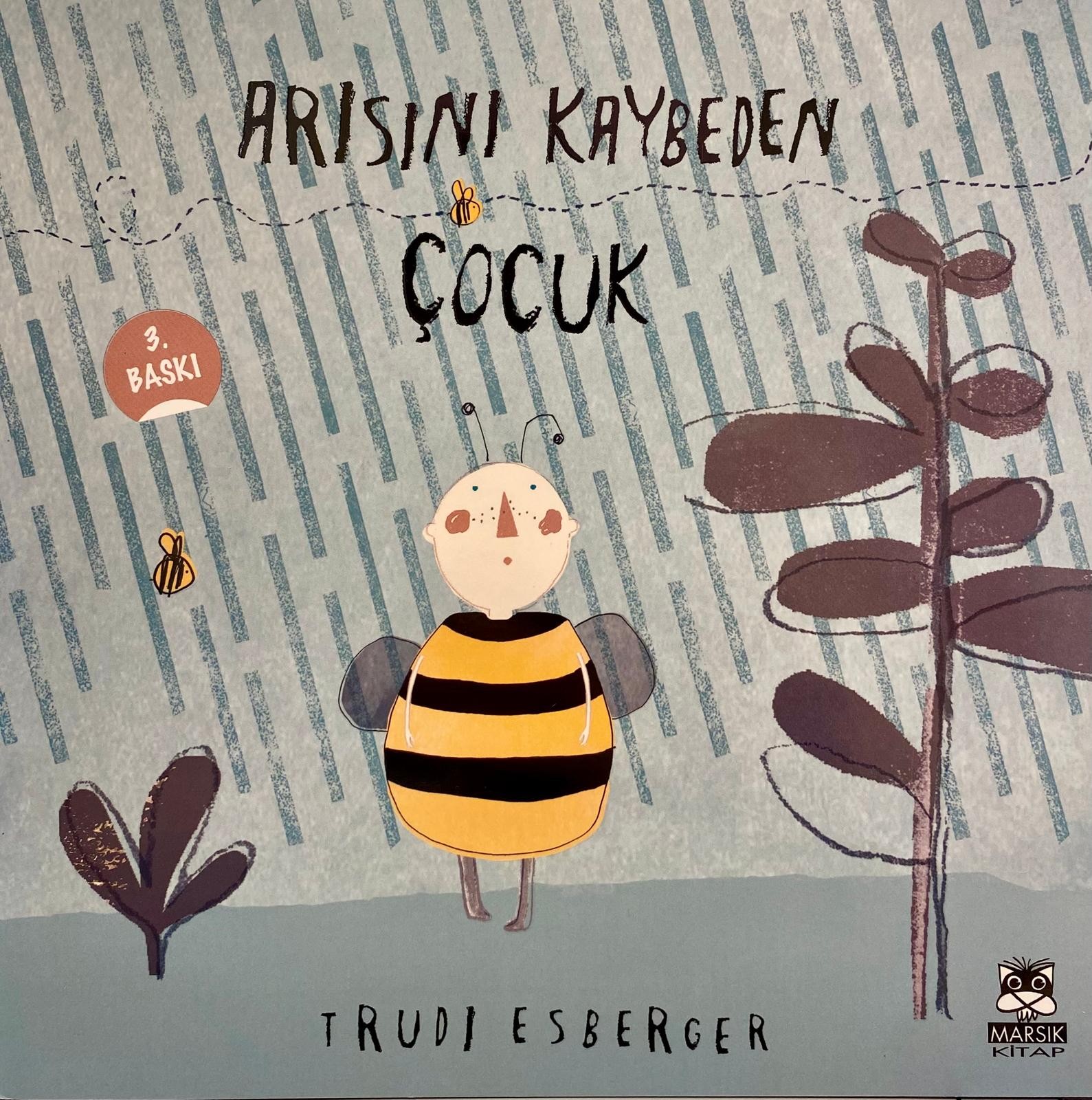 Arısını Kaybeden Çocuk