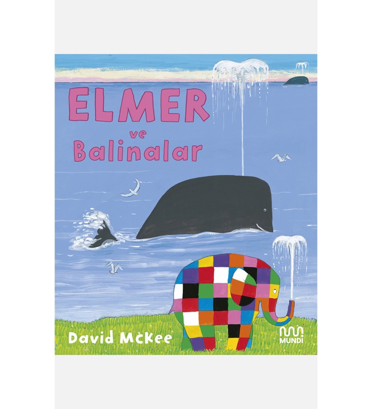 Elmer ve Balinalar