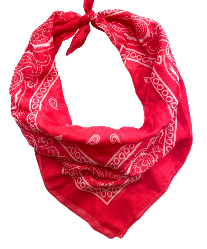 Fuşya Bandana