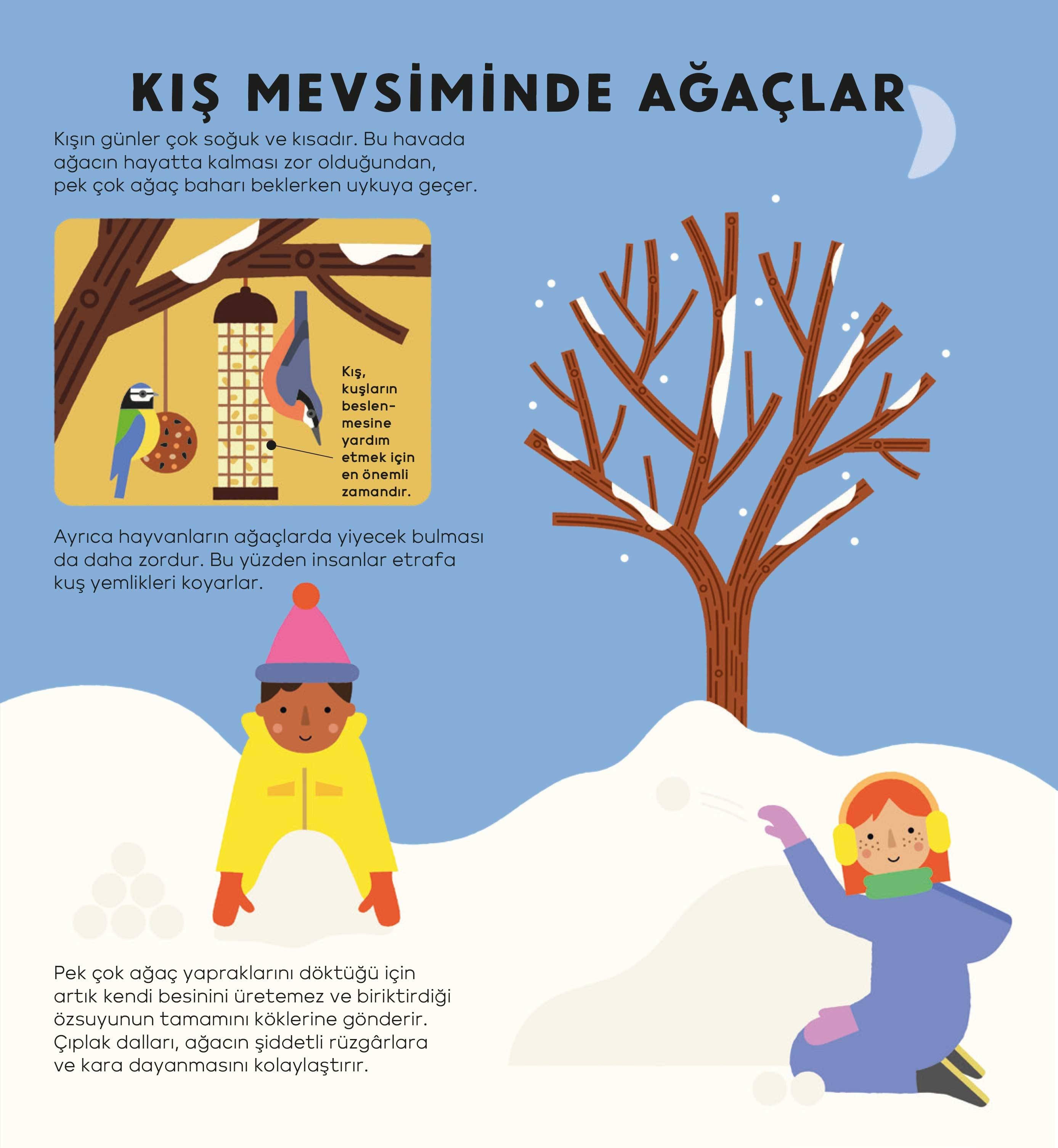 Ağaç Kitabı