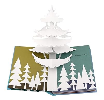 Believe : A Pop-up Book to Inspire You