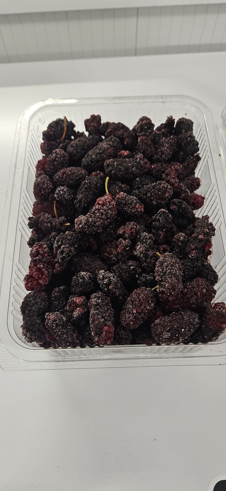 Dondurulmuş Karadut 1 KG