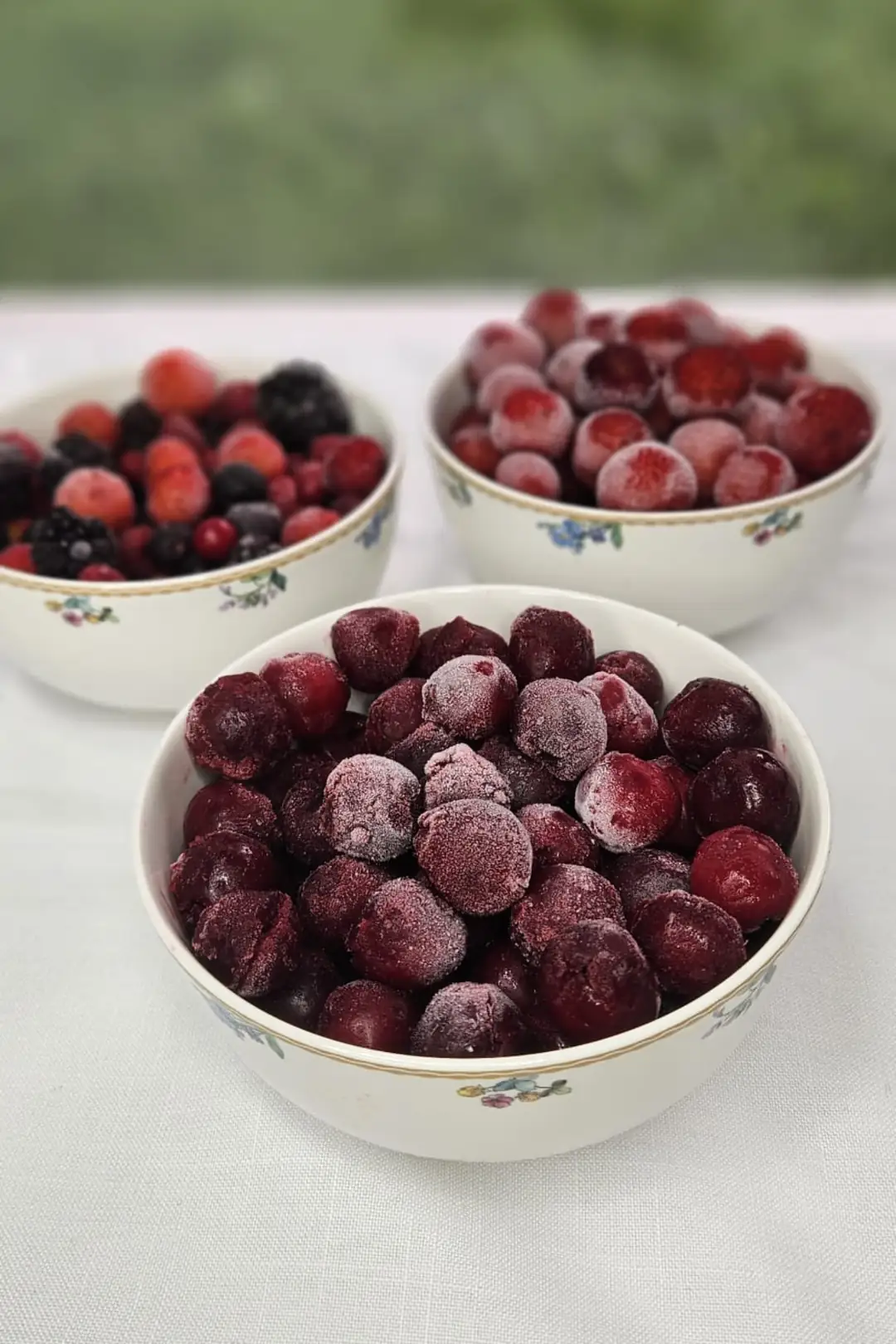Dondurulmuş Vişne (Çekirdeksiz) 1 Kg