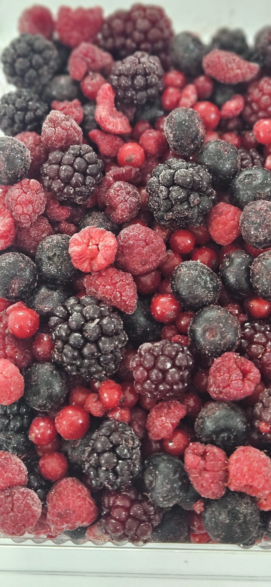 Yeni Karışık Orman Meyveleri Paketi 1 Kg (Yaban Mersini, Ahududu, Böğürtlen, Frenk Üzümü) 