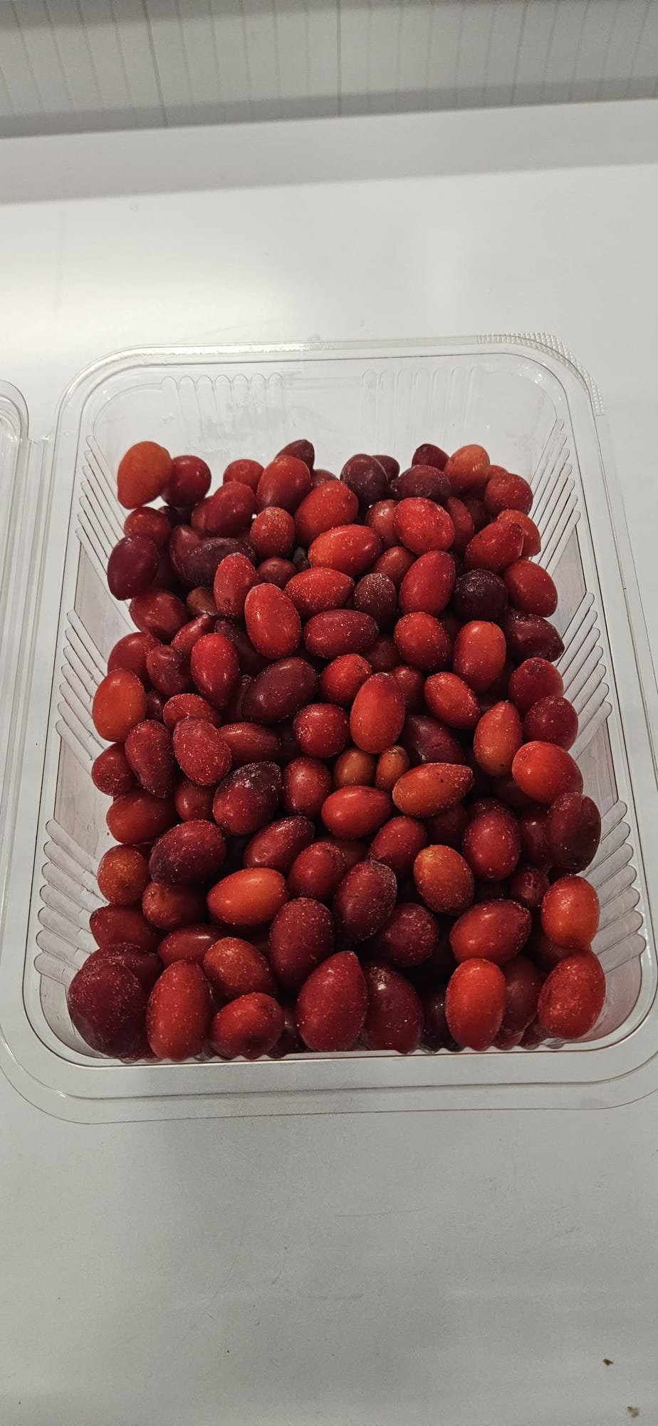 Dondurulmuş Kızılcık 1 KG