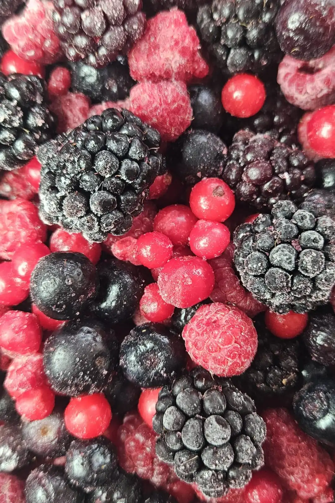 Yeni Karışık 4'lü Orman Meyveleri Paketi Dondurulmuş 1 Kg (Yaban Mersini, Ahududu, Böğürtlen, Frenk Üzümü)