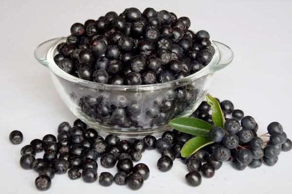 Dondurulmuş Aronya 1 KG