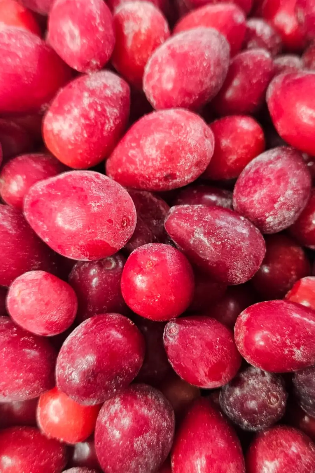 Dondurulmuş Kızılcık 1 Kg