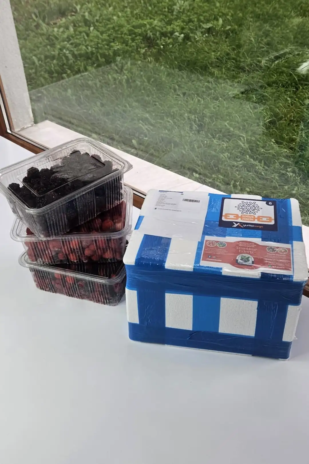 Dondurulmuş Vişne (Çekirdeksiz) 1 Kg