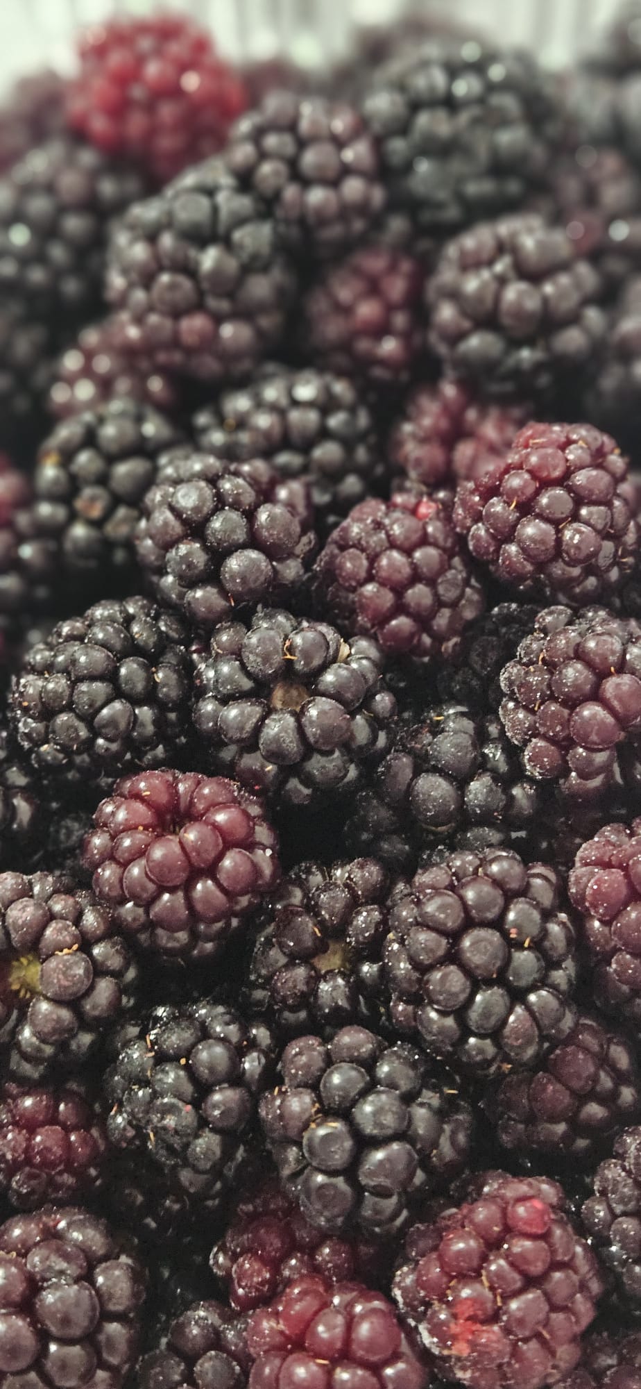 Dondurulmuş Böğürtlen( İri - Jumbo Boy ) 1 KG