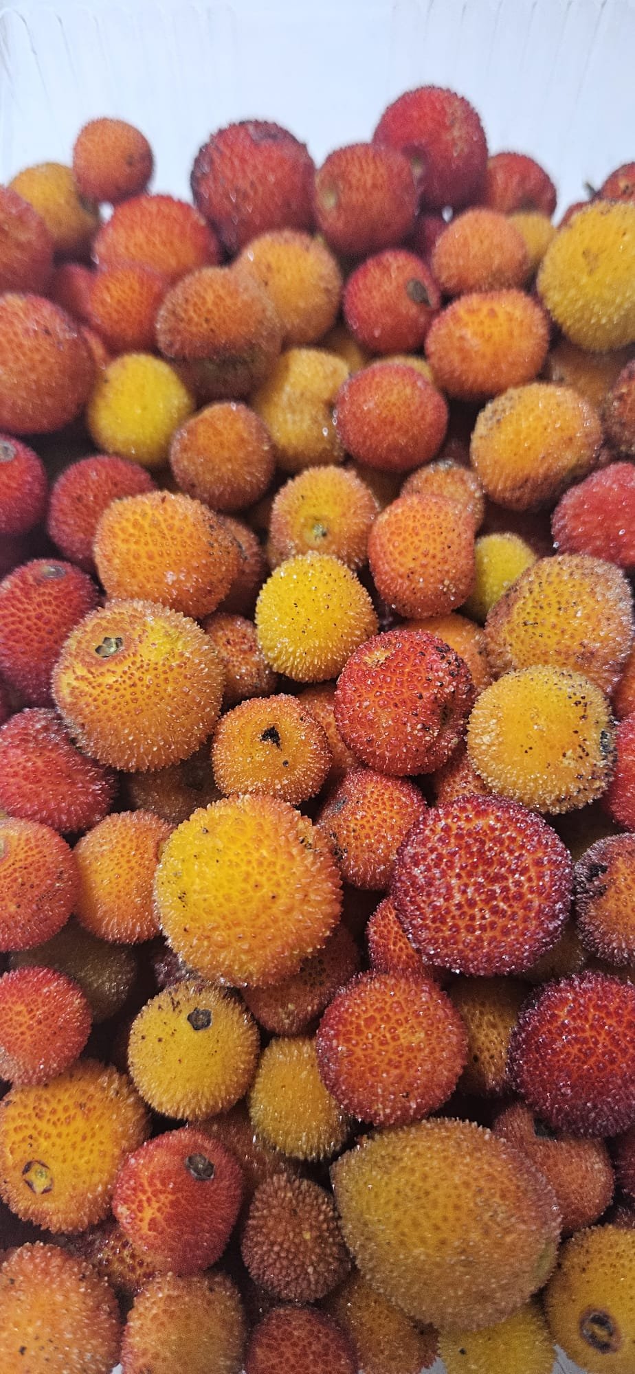 Dondurulmuş Kocayemiş ( Dağ Çileği ) 1 KG