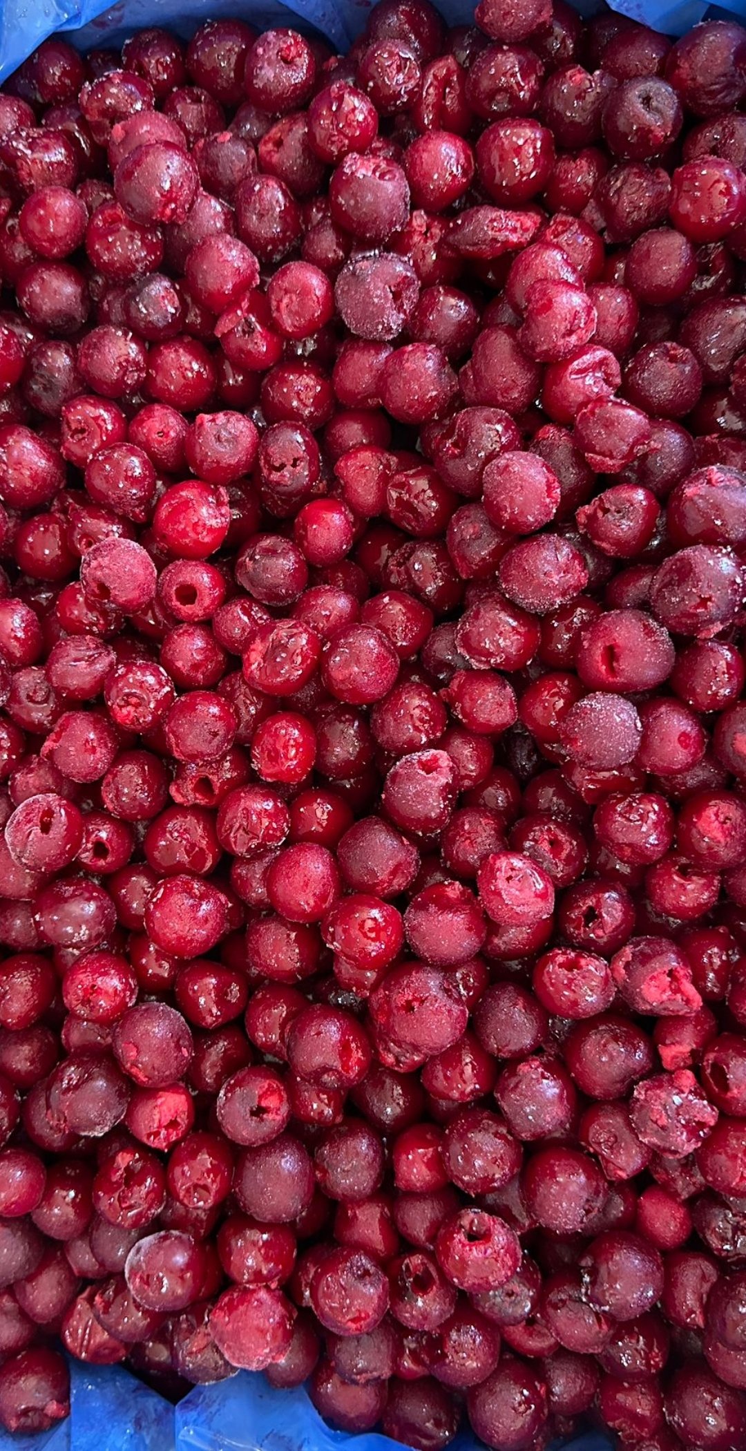 Dondurulmuş Vişne (Çekirdeksiz) 1 KG