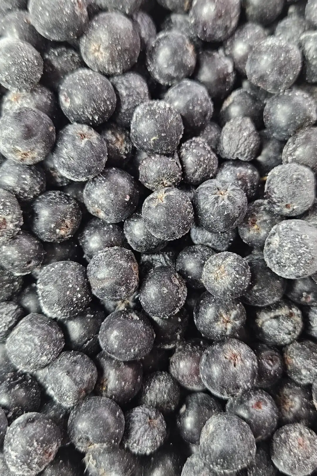 Dondurulmuş Aronya 1 Kg