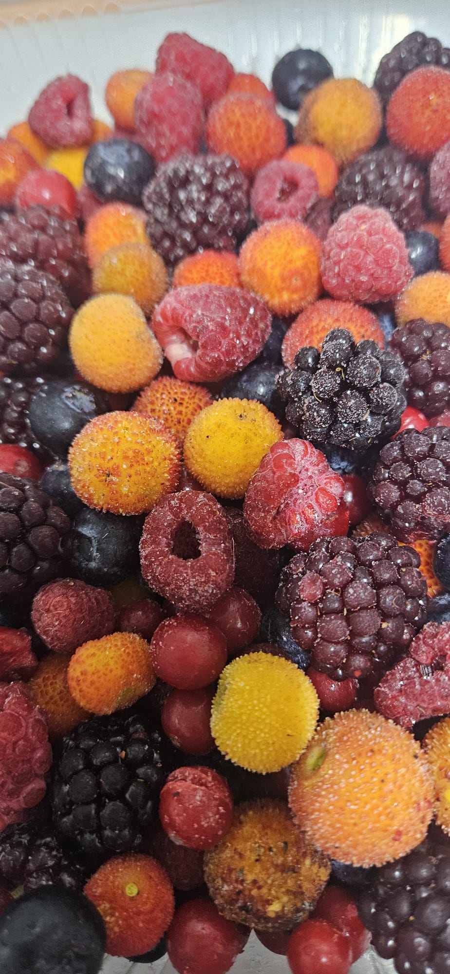 Dondurulmuş Karışık Orman Meyveleri Paketi 1 KG