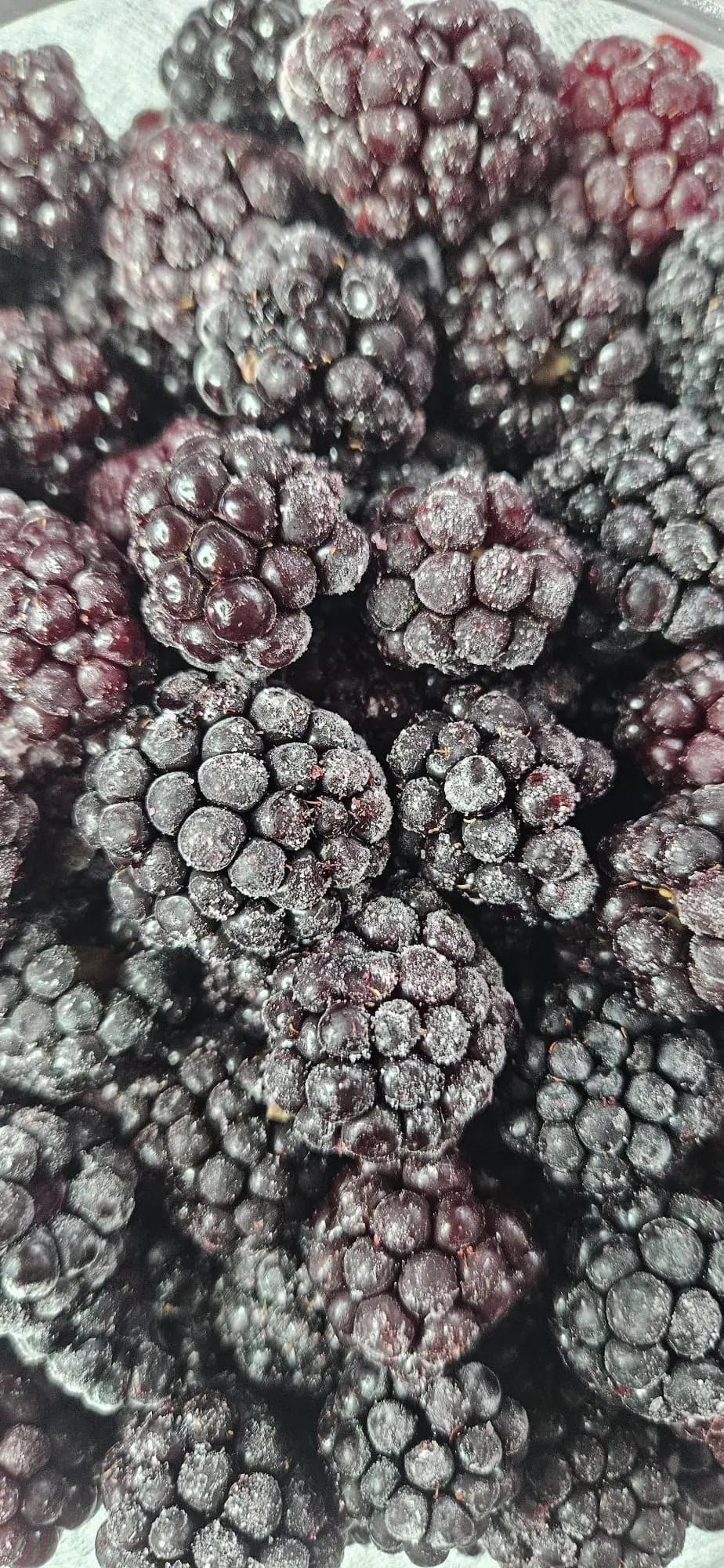 Dondurulmuş Böğürtlen 1 Kg
