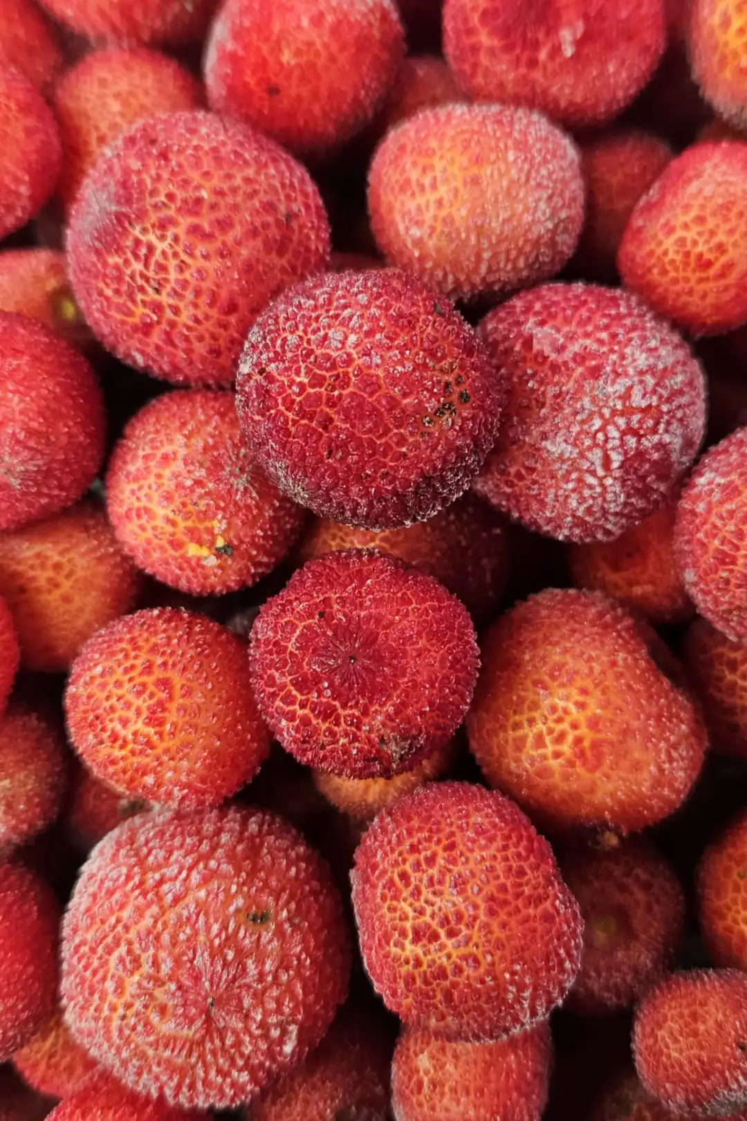 Dondurulmuş Kocayemiş 1 Kg