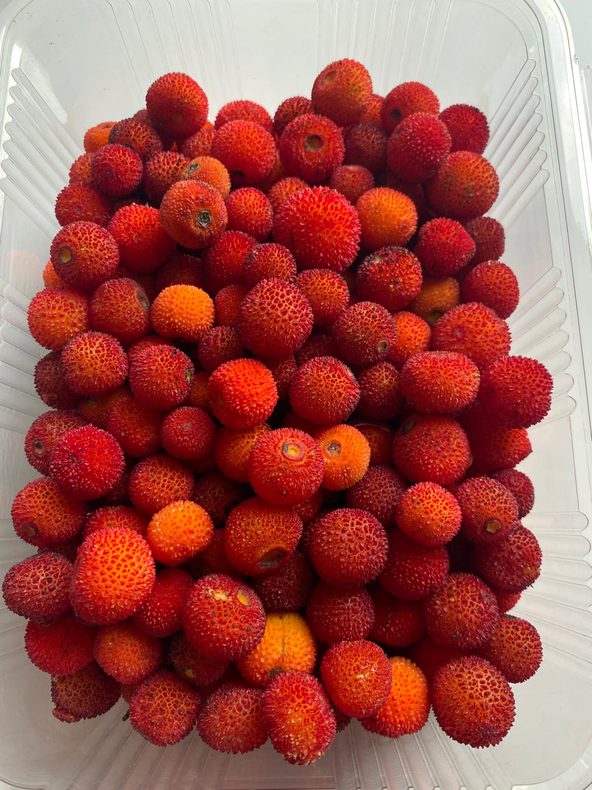 Dondurulmuş Kocayemiş ( Dağ Çileği ) 1 KG