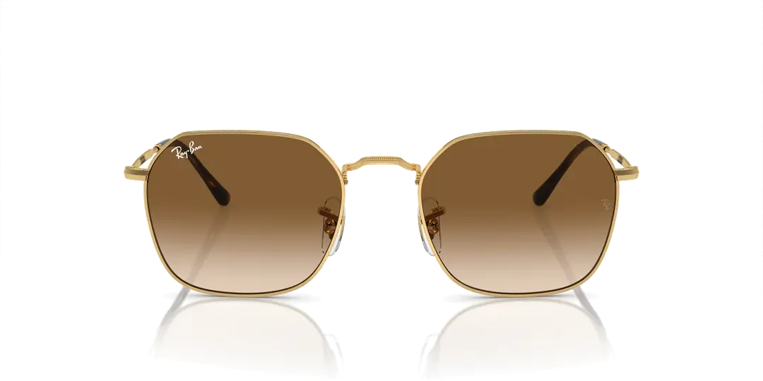 Adadünya Optik | Ray-Ban 3694 001/51 Unisex Güneş Gözlüğü