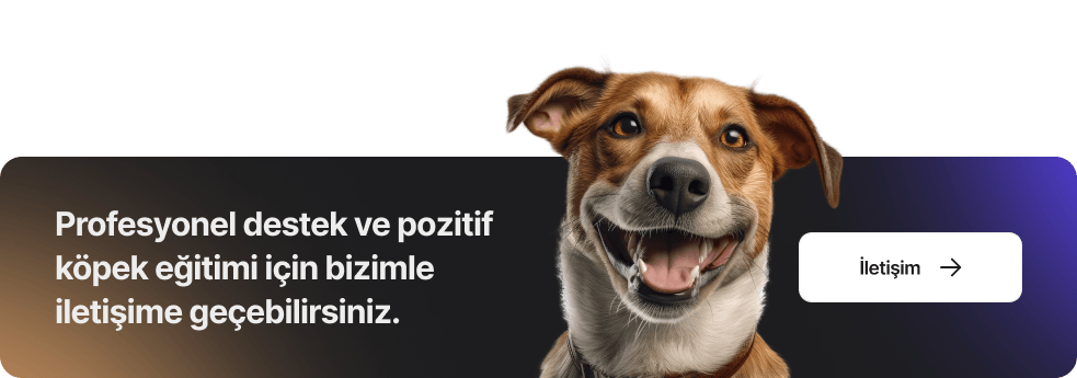 <br>