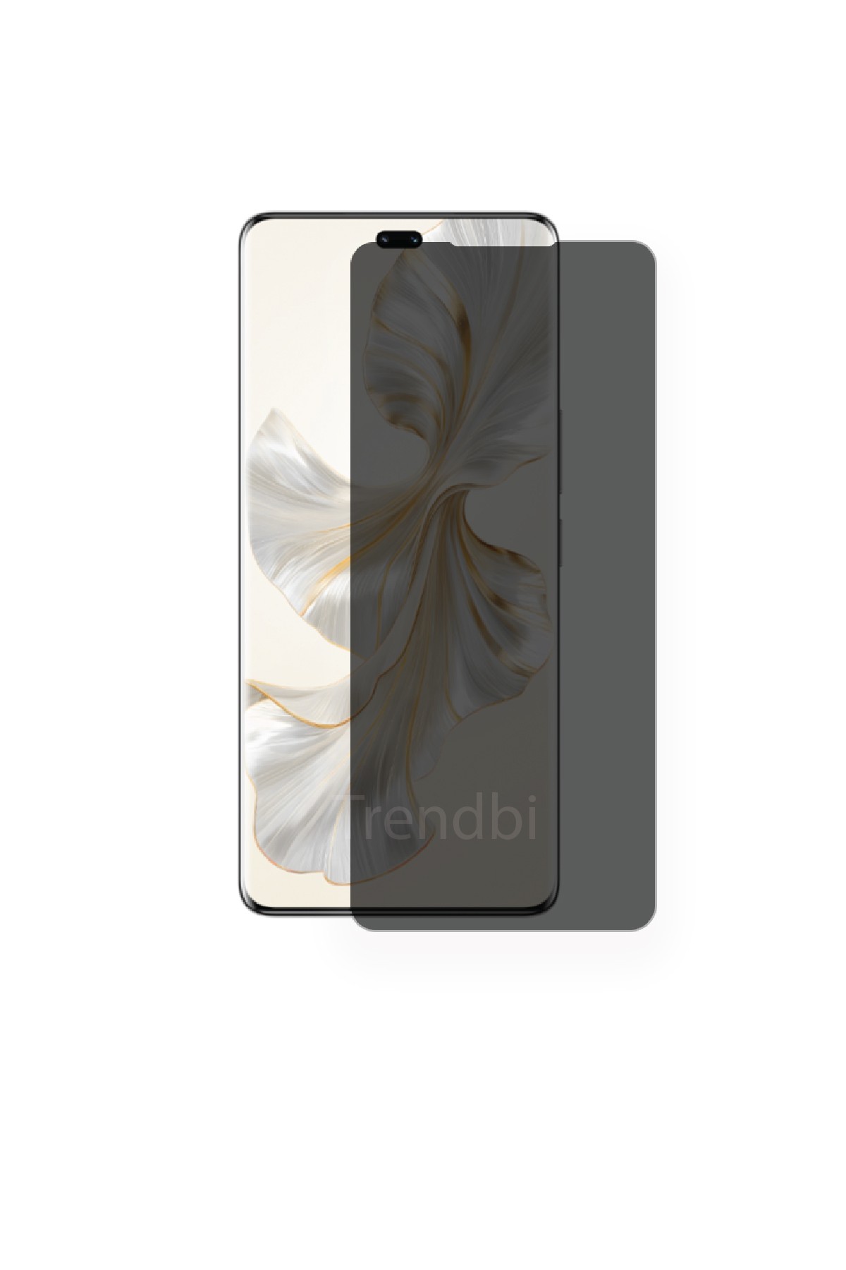Honor 100 Pro - Parlak Hayalet Ekran Koruyucu Film (120 micron)