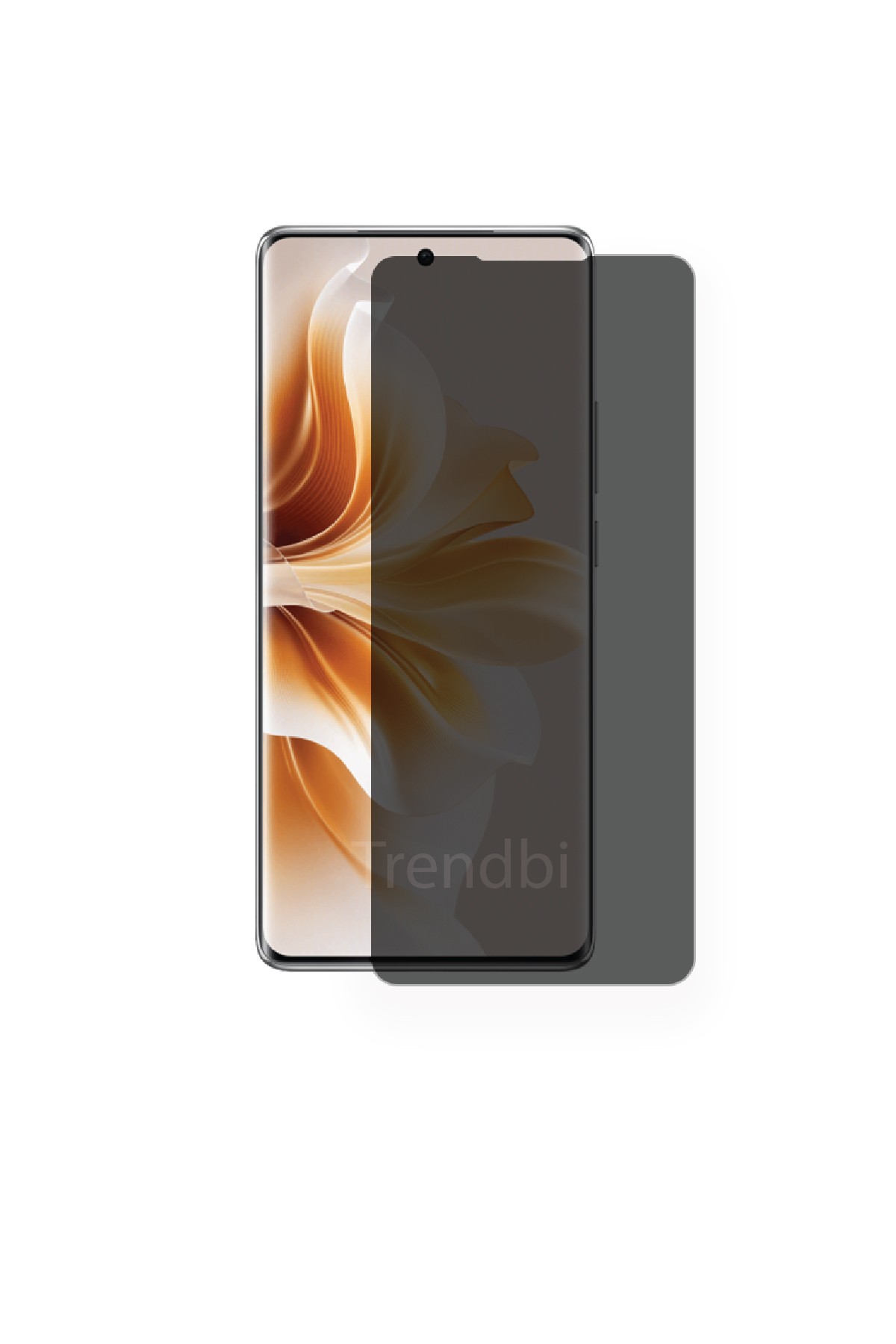 Oppo Reno 11 Pro - Parlak Hayalet Ekran Koruyucu Film (120 micron)