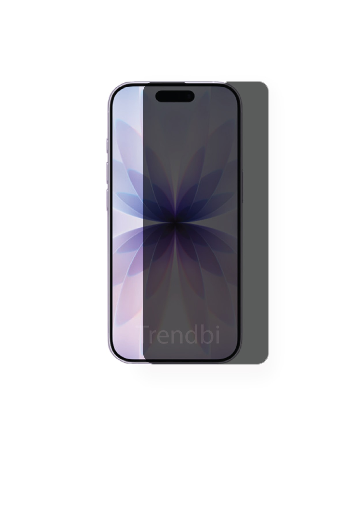 Parlak Hayalet Ekran Koruyucu Film (120 micron)