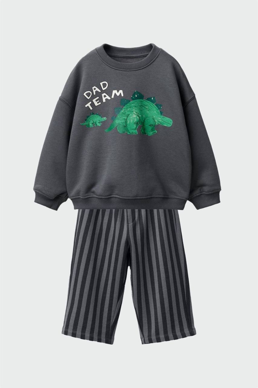 Dinozor Desen Gri %100 Pamuk 3 İplik Erkek Çocuk Alt Üst Takım
