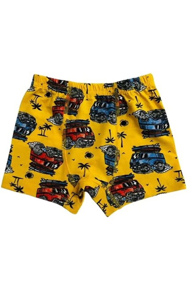 Araba Desen Renkli 3'lü Erkek Çocuk Boxer Set