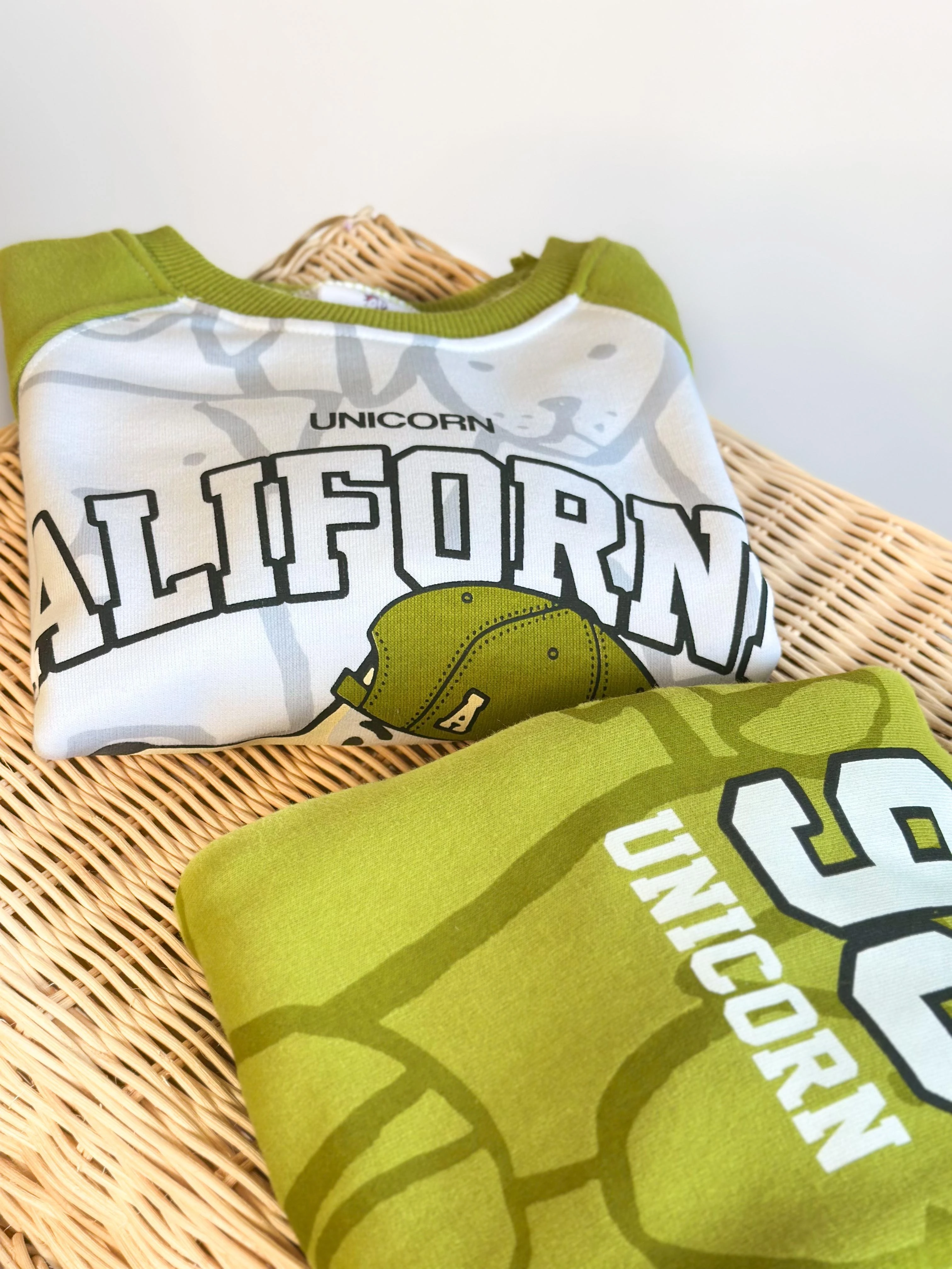 Sevimli Köpek Desen Kulak Detaylı Yeşil 3 İplik %100 Pamuk Erkek Çocuk Alt Üst Takım