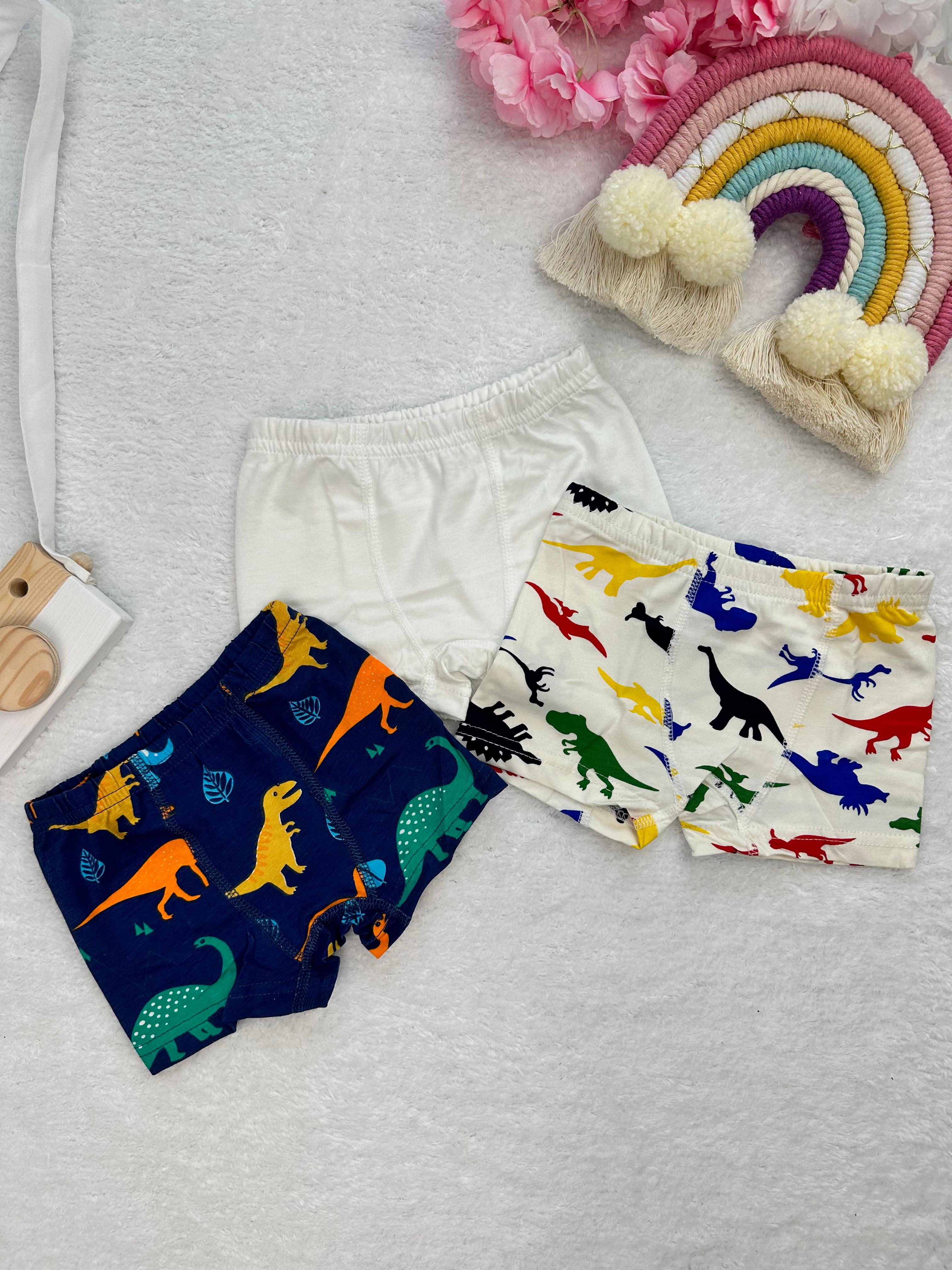 MinyKids Renkli Dinozor Desenli 3'lü Boxer Set