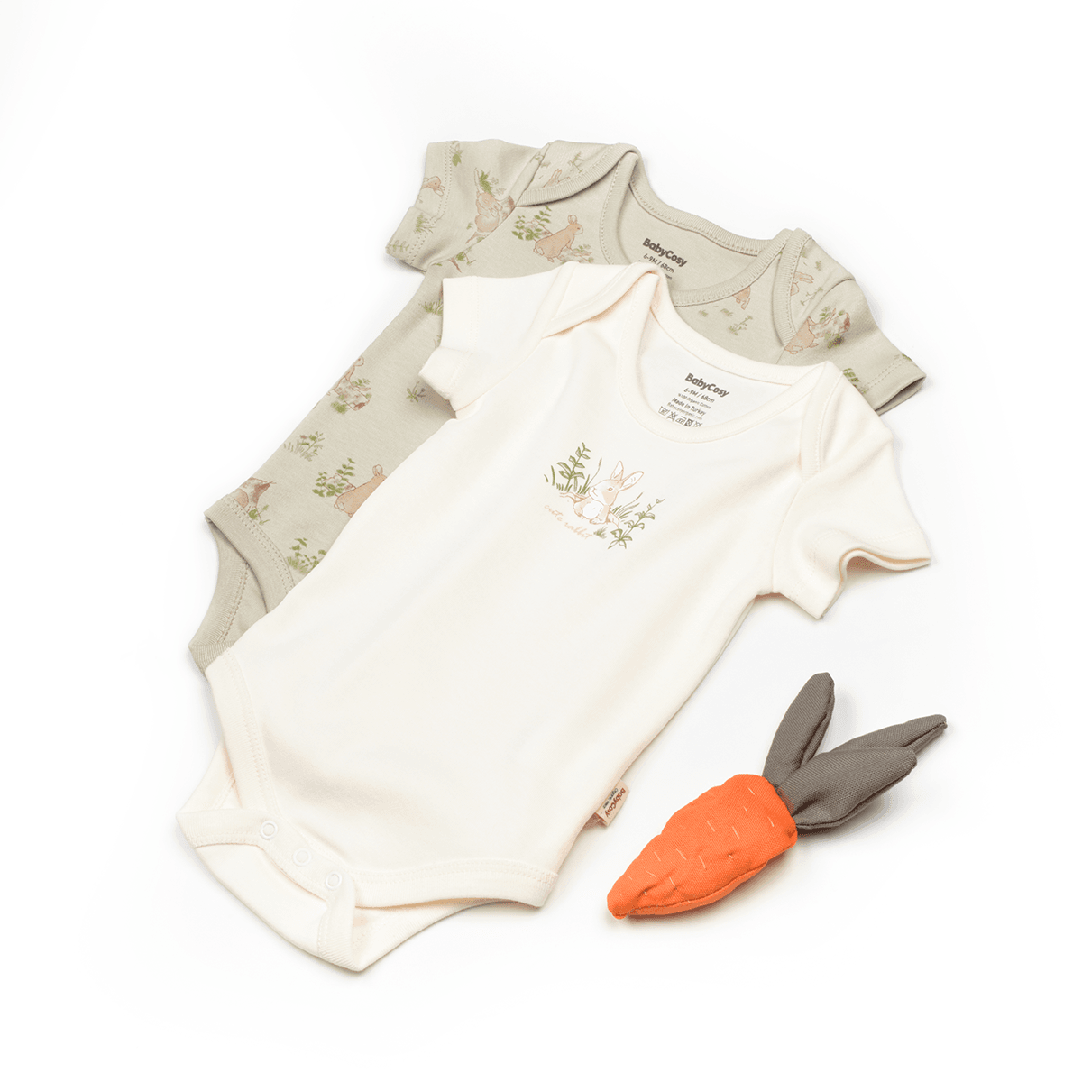ENSEMBLE BODY DEMI MANCHE ORGANIC BIO COSY main variant image