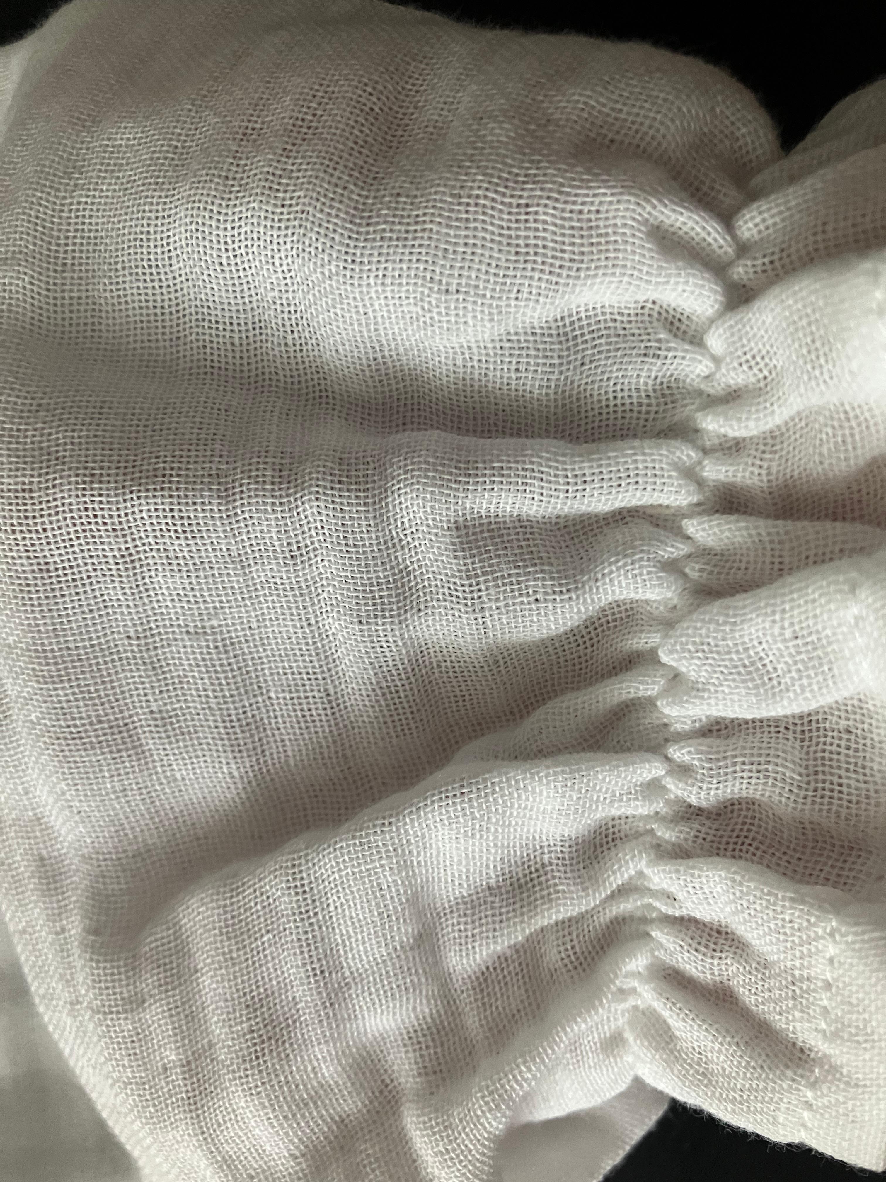 Plume Rose