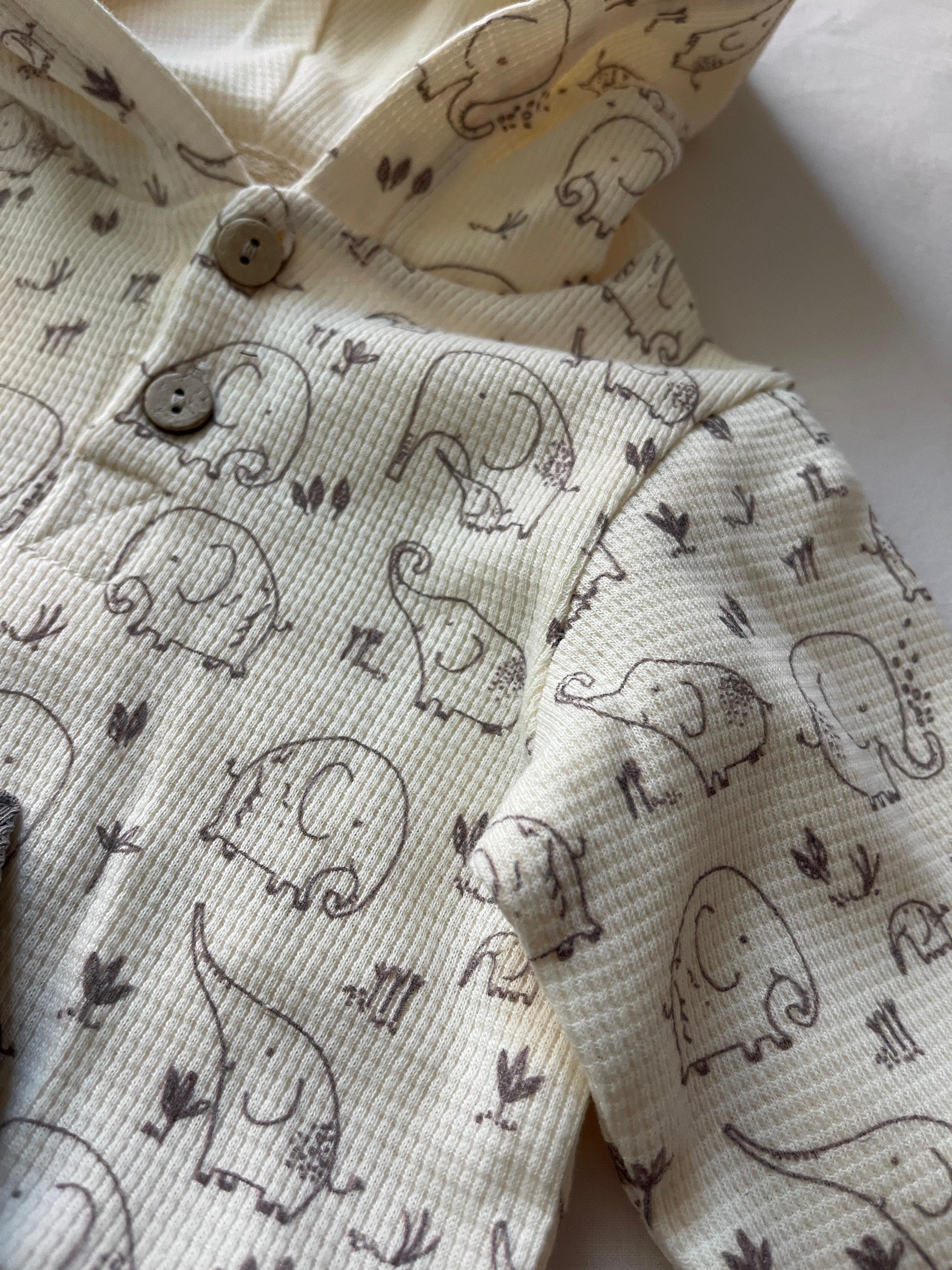 ENSEMBLE Bubble