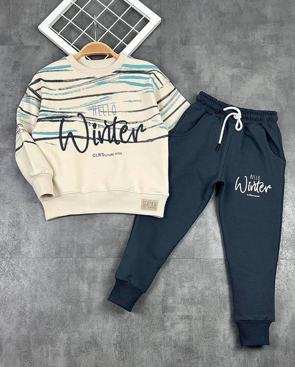 Ensemble WINTER image