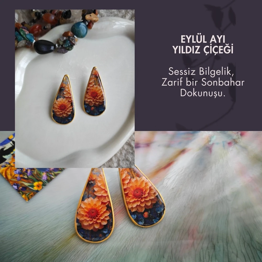 Eylül Yıldız Çiçeği: Sessiz bilgelik, zarif bir sonbahar dokunuşu.