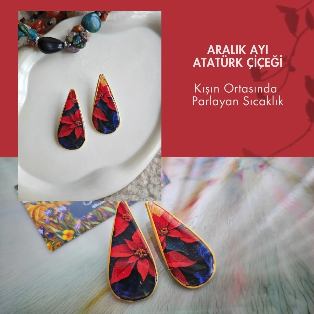 Aralık Atatürk çiçeği: Kışın ortasında parlayan sıcaklık.