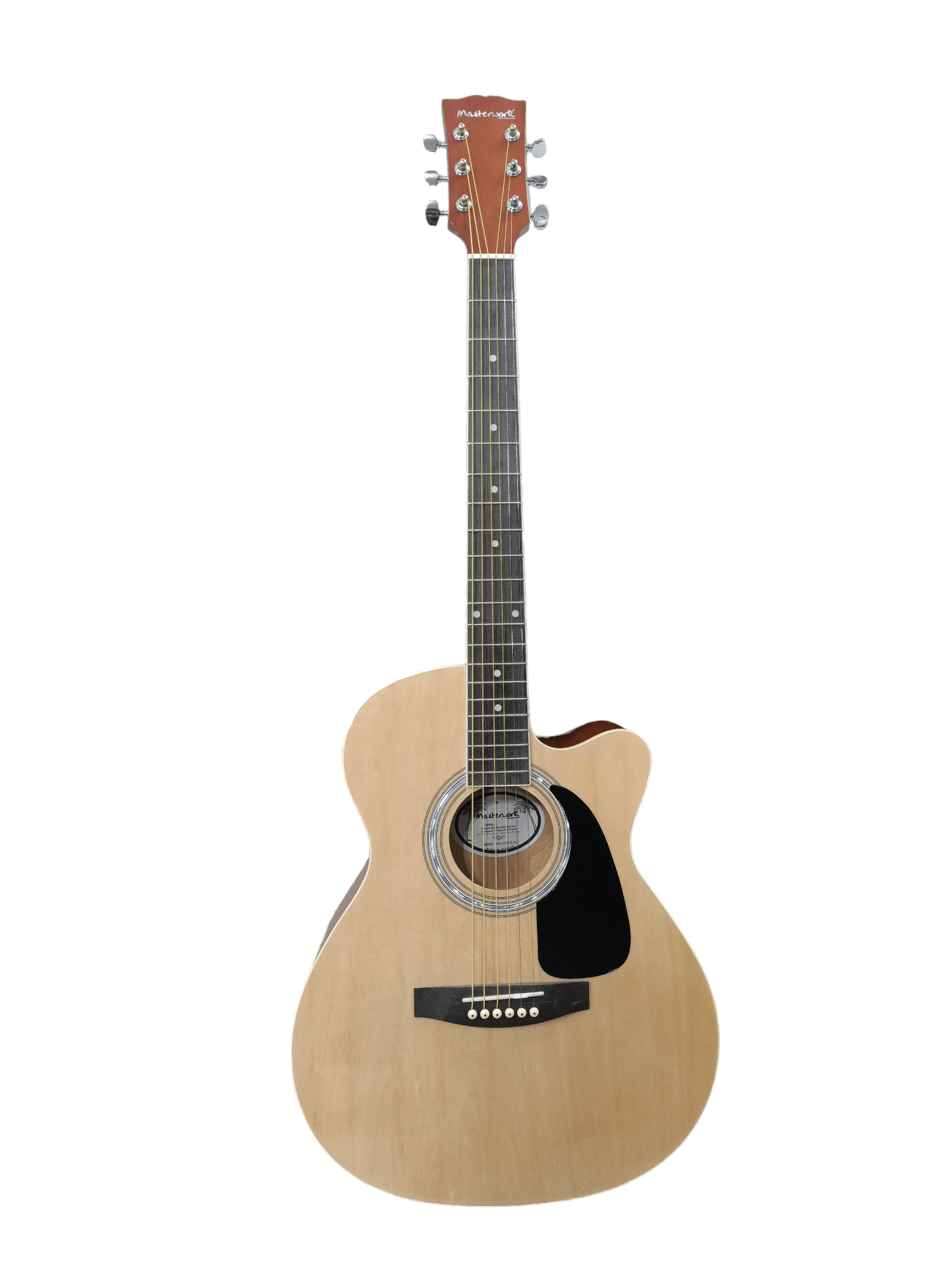 Masterwork electro acoustic guitar with USB input