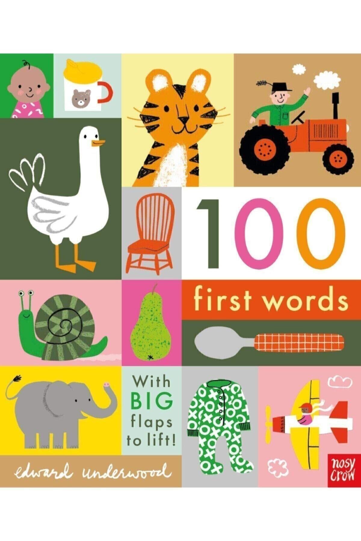 Nosy Crow 100 First Words