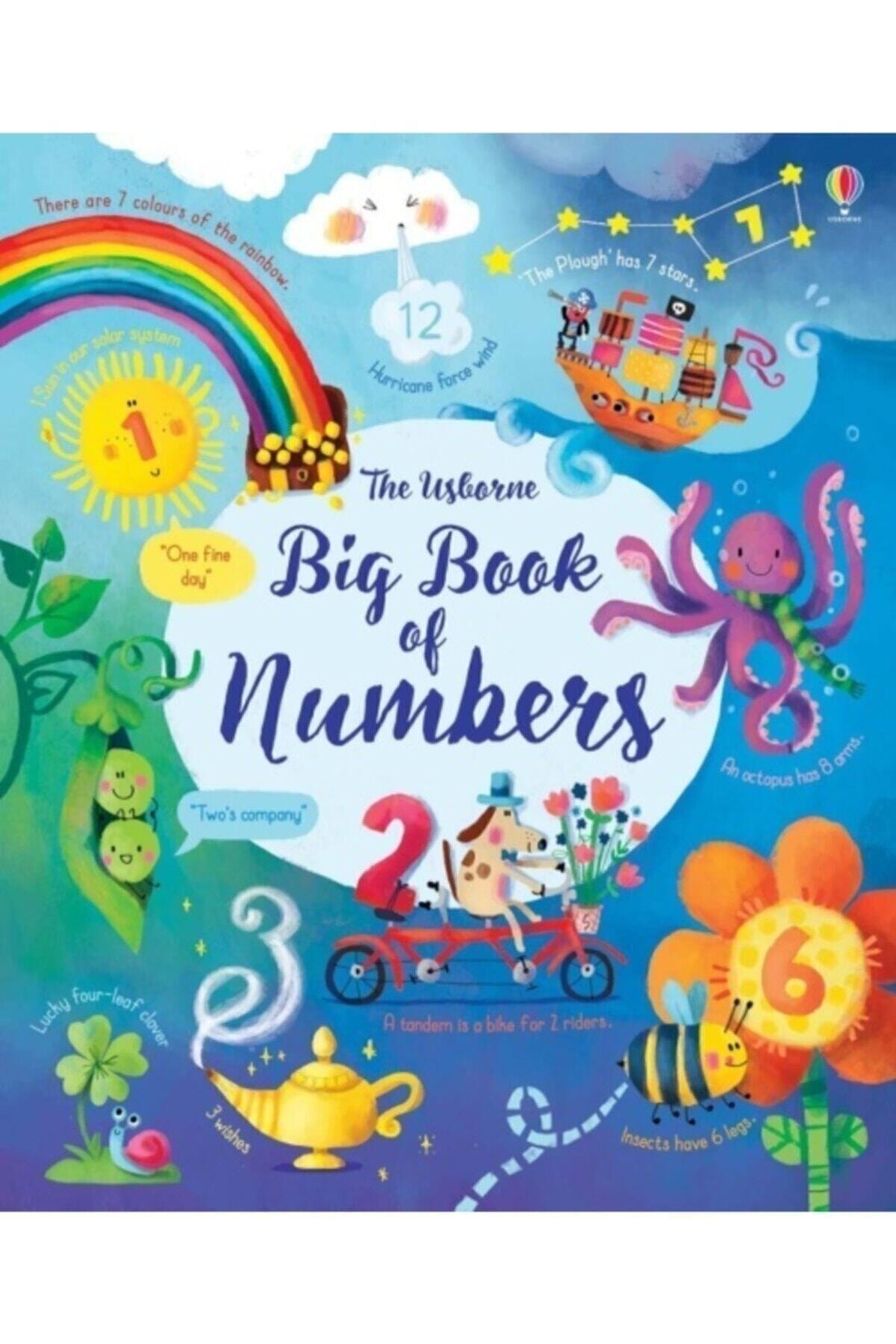 Usborne Big Book Of Numbers