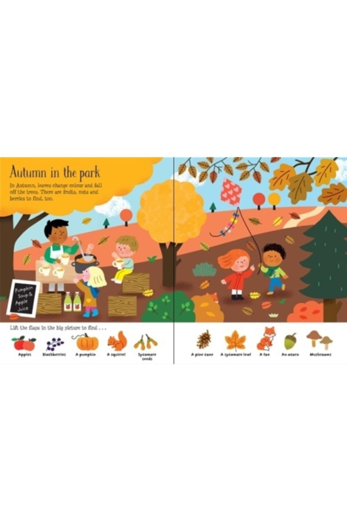 Usborne Lift The Flap Seasons And Weather