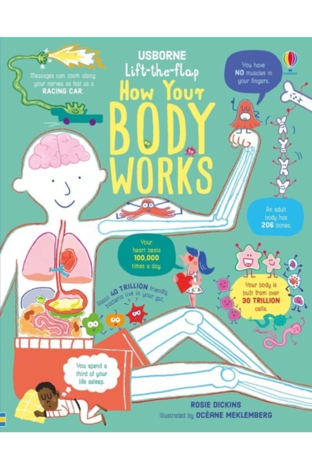 Usborne LTF How Your Body Works